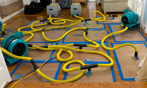 Professional Water Damage Restoration technician working in Washington, MO